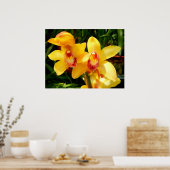 Geel Cymbidium Orchid Poster (Keuken)