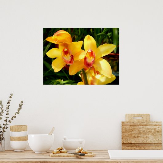 Geel Cymbidium Orchid Poster (Keuken)