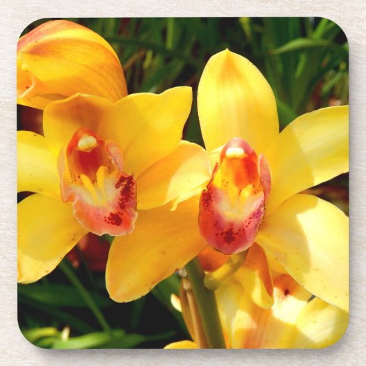Geel Cymbidium Orchidee Hard Plastic Onderzetter (Voorkant)