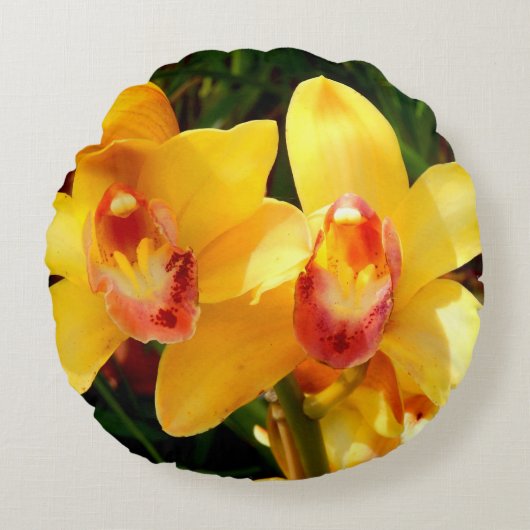 Geel Cymbidium orchidee rond kussen (Voorkant)