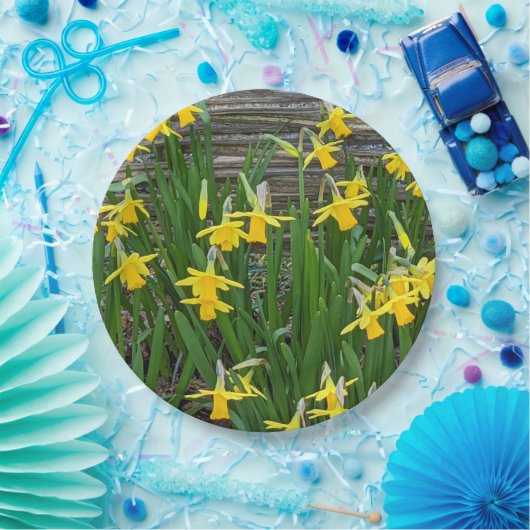 Geel Daffodil Blooms Floral Papieren Bordje (Feest)