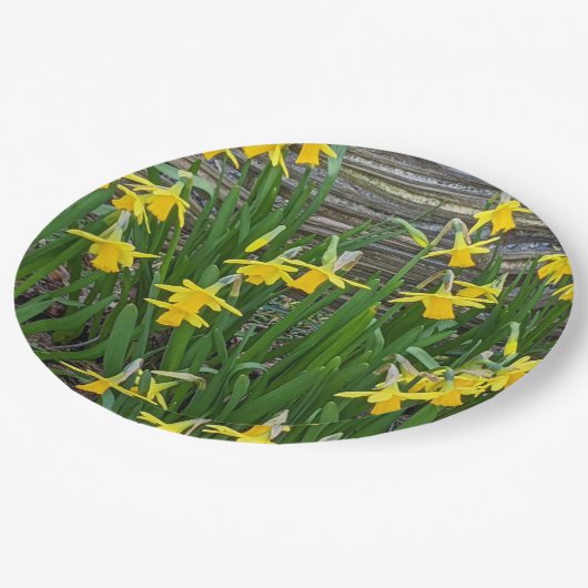 Geel Daffodil Blooms Floral Papieren Bordje (Gekanteld)