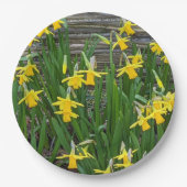 Geel Daffodil Blooms Floral Papieren Bordje (Voorkant)