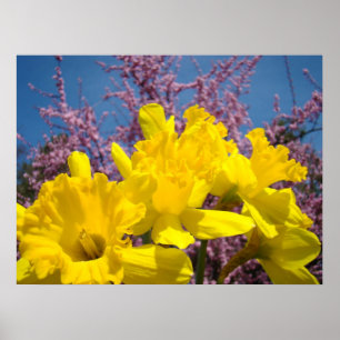 Geel Daffodil Flowers kunst print Natuur Floral