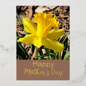Geel Daffodil Happy Moederdag Gold Folie Feestdagenkaart (Voorkant)