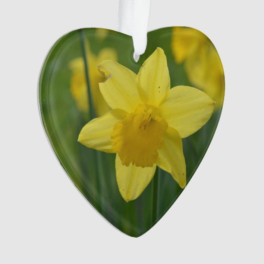  Geel Daffodil Ornament (voorkant)