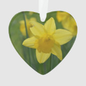  Geel Daffodil Ornament (achterkant)