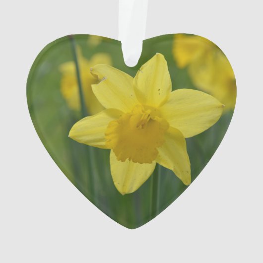  Geel Daffodil Ornament (achterkant)