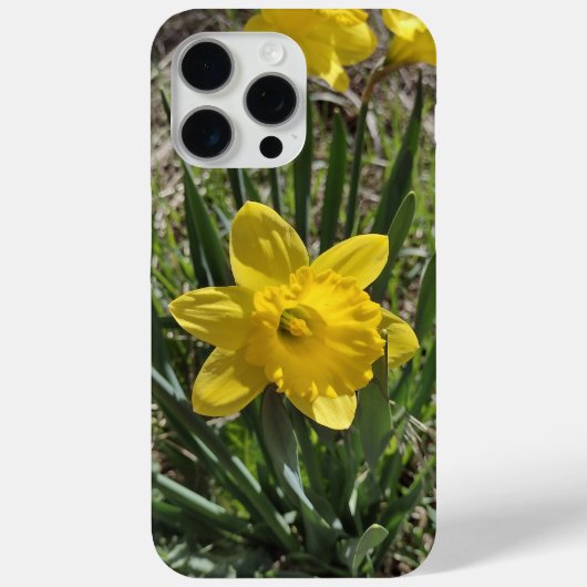 Geel Daffodil Plant Case-Mate iPhone Case (Achterkant)