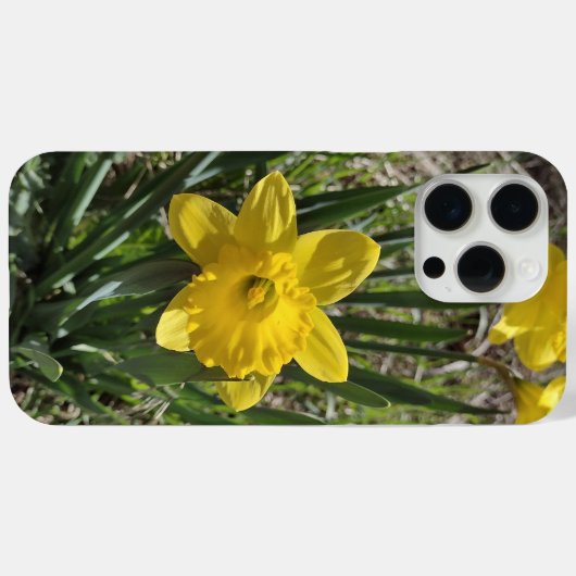 Geel Daffodil Plant Case-Mate iPhone Case (Achterkant (horizontaal))