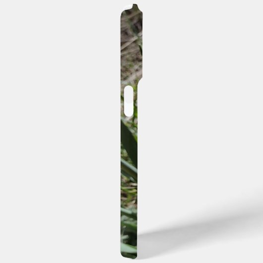 Geel Daffodil Plant Case-Mate iPhone Case (Achterkant / Rechts)