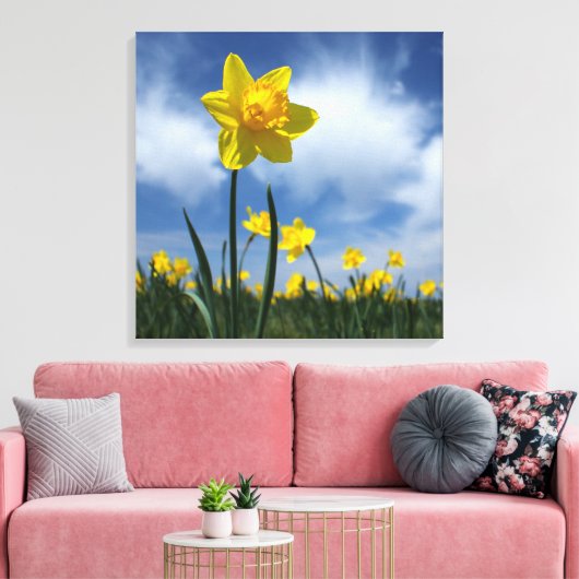 Geel Daffodil Veld op Blue Sky 24x24 Canvas Afdruk (Insitu (Woonkamer))