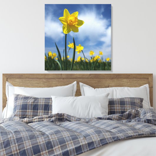 Geel Daffodil Veld op Blue Sky 24x24 Canvas Afdruk (Insitu (Slaapkamer))