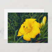 Geel dagblad 13 Blank Briefkaart (Voorkant / Achterkant)