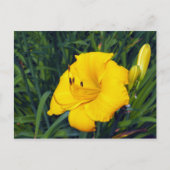 Geel dagblad 13 Blank Briefkaart (Voorkant)