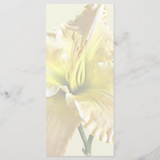 Geel Daglel Huwelijksbenodigdheden Menu (Achterkant)