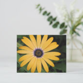 Geel Daisy Briefkaart (Staand voorkant)