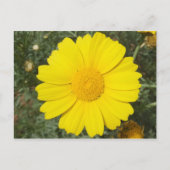 Geel Daisy briefkaart, pas aan Briefkaart (Voorkant)