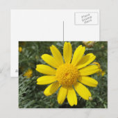 Geel Daisy briefkaart, pas aan Briefkaart (Voorkant / Achterkant)