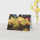 Geel de orchideewenskaart van Singapore Kaart (Gele Bloem)