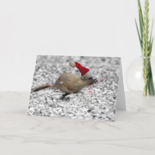 Geel-doen zwellen Eerste Kerstmis van Marmotten Feestdagen Kaart