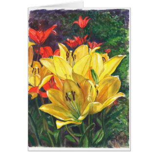 Geel en andere bloemen in het veld
