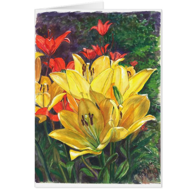 Geel en andere bloemen in het veld (Voorkant)