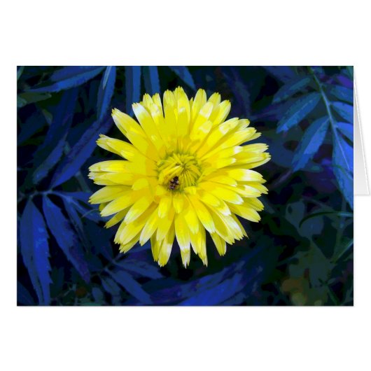 Geel en blauw (Voorkant Horizontaal)