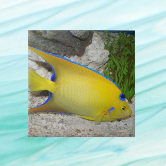 Geel en Blauw Koningin Angelfish Tegeltje