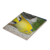 Geel en Blauw Koningin Angelfish Tegeltje (Zijkant)