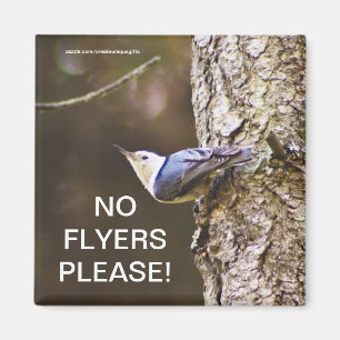 Geel en blauw vogel Geen brochures, Magnet