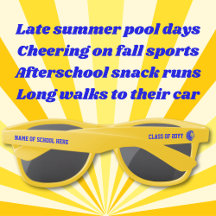 Geel en Blauwe Leeuw Mascotte Afstuderen