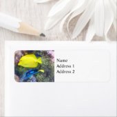 Geel en Blauwe Tang Vis Etiket (Insitu)