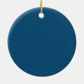 Geel en Blauwe Tang Vis Keramisch Ornament (Achterkant)