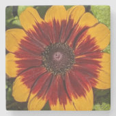 Geel en Bronze Rudbeckia Floral Stenen Onderzetter (Voorkant)