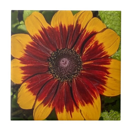 Geel en Bronze Rudbeckia Floral Tegeltje (Voorkant)