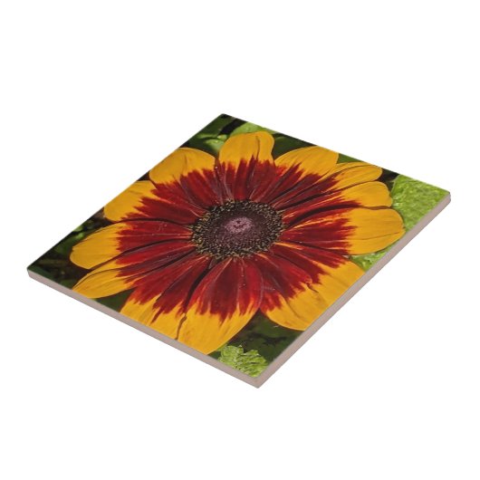Geel en Bronze Rudbeckia Floral Tegeltje (Zijkant)