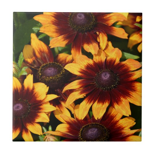 Geel en Bronze Rudbeckias Floral Tegeltje (Voorkant)