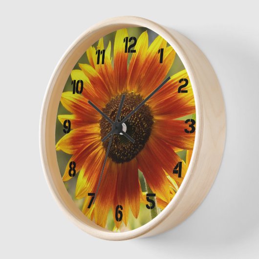 Geel en Bronze Zonnebloem (Hoek)