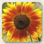 Geel en Bronze Zonnebloem Bier Onderzetter (Voorkant)