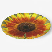 Geel en Bronze Zonnebloem Papieren Bordje (Gekanteld)