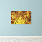 Geel en bruin deying Macro Leaf Canvas Afdruk (Insitu (Houten vloer))