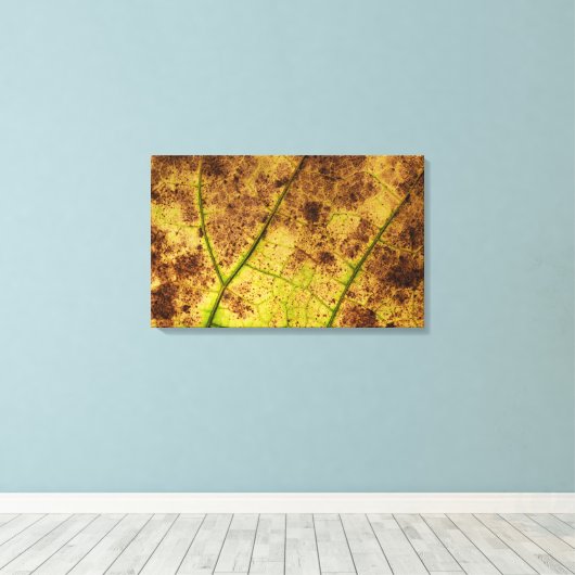 Geel en bruin deying Macro Leaf Canvas Afdruk (Insitu (Houten vloer))