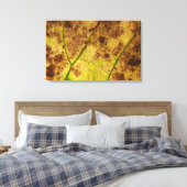 Geel en bruin deying Macro Leaf Canvas Afdruk (Insitu (Slaapkamer))