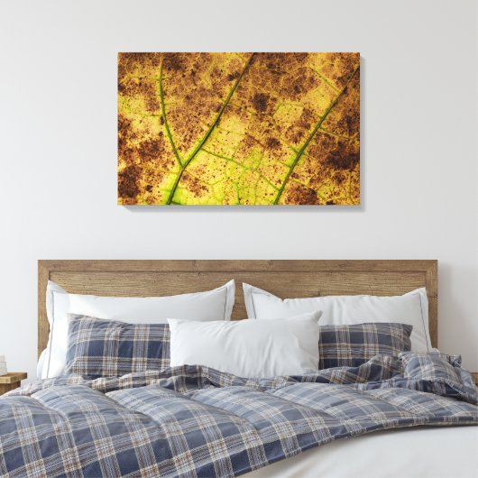 Geel en bruin deying Macro Leaf Canvas Afdruk (Insitu (Slaapkamer))
