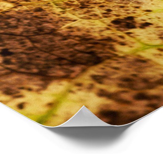 Geel en bruin deying Macro Leaf Poster (Hoek)