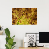 Geel en bruin deying Macro Leaf Poster (Thuiskantoor)