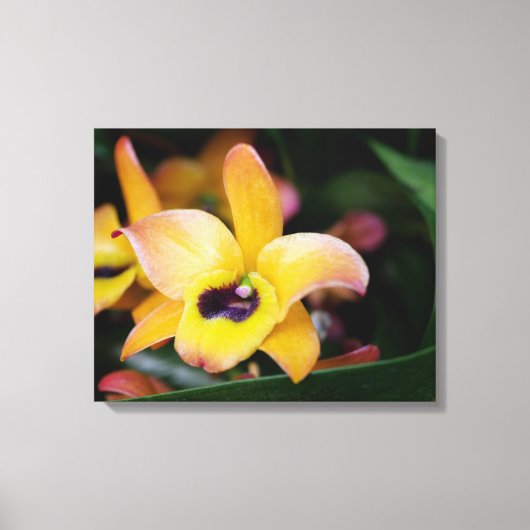 Geel en bruin orchidee canvas afdruk (Voorkant)