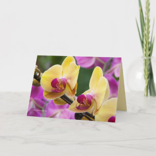 Geel en Fushia Orchid Kaart