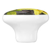 Geel en groen Lily Ceramic Pull Dull Knop (Zijkant)